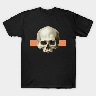 Vintage skull illustration T-Shirt